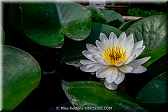 Da Xing Shan Temple-09-_XAN1734.jpg