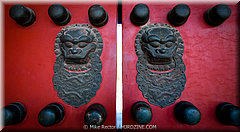 Forbidden City-06-_MJR0053.jpg