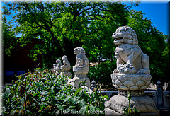 Forbidden City-07-_MJR0077.jpg