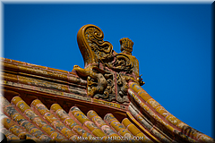 Forbidden City-09-_MJR0109.jpg