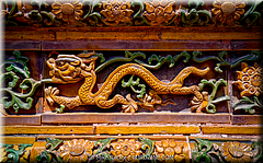 Forbidden City-29-_MJR0298.jpg