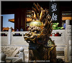 Forbidden City-33-_MJR0471.jpg