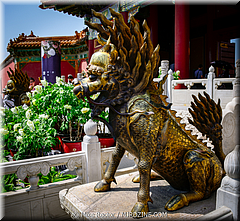 Forbidden City-34-_MJR0483.jpg