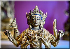 Forbidden City-40-_MJR0567.jpg