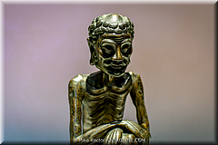 Forbidden City-42-_MJR0571.jpg