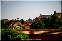 Forbidden City-50-_MJR0694.jpg