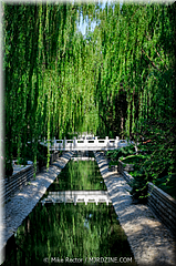 Forbidden City-51-Forbidden City-_MJR0758-HDR(3).jpg