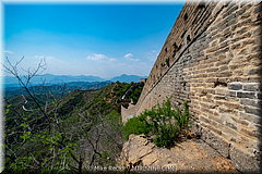 Great Wall Jinshanlin to Simatai Hike-25-_WAL3878.jpg