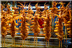 _Xian General-03-Muslim Quarter (37).jpg