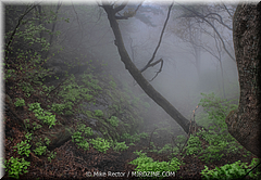 Huashan Mountain-06-Huashan Mountain-_HAN2979-HDR(3).jpg