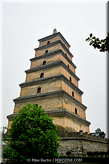 DacienTempleBigWildGoosePagoda_01.jpg