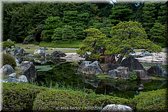 Japan Day1-Kyoto-10-_KYO2287.jpg