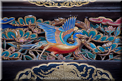Japan Day1-Kyoto-17-_KYO2401.jpg