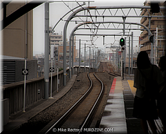 Japan Day1-Kyoto-28-_KYO2499.jpg