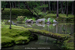 Japan Day3-Koke Dera-14-_KYO1554.jpg