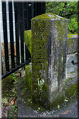 Japan Day3-Koke Dera-33-_KYO2016.jpg