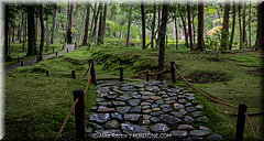 Japan-Favorites-22.jpg