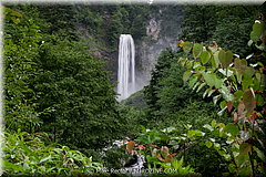 Japan-Favorites-41.jpg