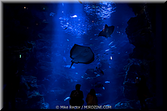 Japan-Favorites-6.jpg