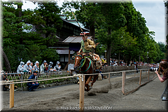 Japan-Favorites-68.jpg