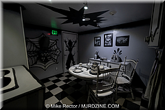 MeowWolf (12).jpg