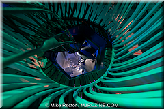 MeowWolf (14).jpg