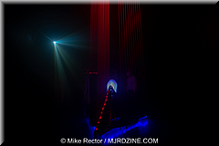 MeowWolf (15).jpg
