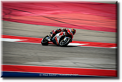 R1 (2).jpg
