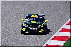 PerelliWC2016-9259.jpg