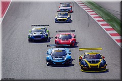 PerelliWC2016-9534.jpg