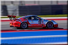 PerelliWC2016-9888.jpg