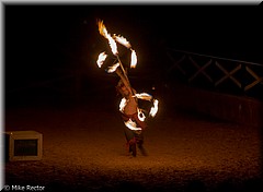 RenFest2015-6197.jpg