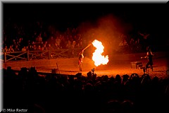 RenFest2015-6342.jpg