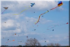 ZilkerKiteFestival2016-0907.jpg
