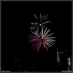 24-_DSC811124.jpg