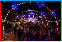 Christmas2014 (112 of 25).jpg