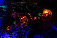 Halloween-15.jpg