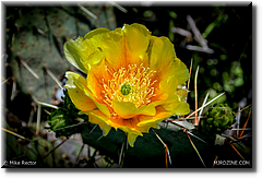 10-_DSC6569-HDR(3)10.jpg