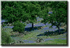 31-_DSC600731.jpg
