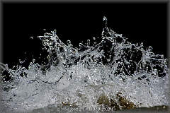 10-_DSC9062.jpg