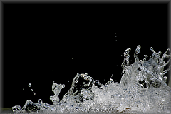 12-_DSC9075.jpg