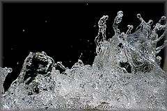 13-_DSC9075-2.jpg