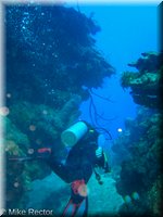Roatan-2012-05.jpg