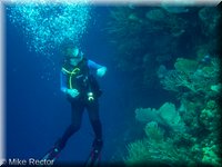 Roatan-2012-19.jpg