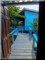 Roatan-2012-40.jpg