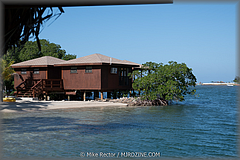 Roatan-2017-10.jpg