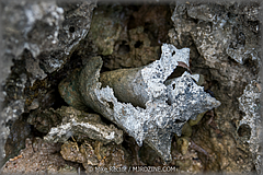 Roatan-2017-23.jpg