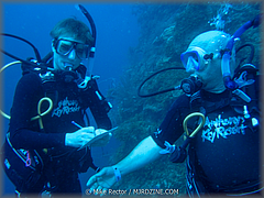 Roatan-2017-32.jpg